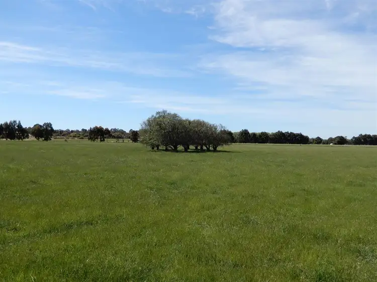 Fifth view of Homely rural property listing, 642 Gum Point Road South, Naracoorte SA 5271