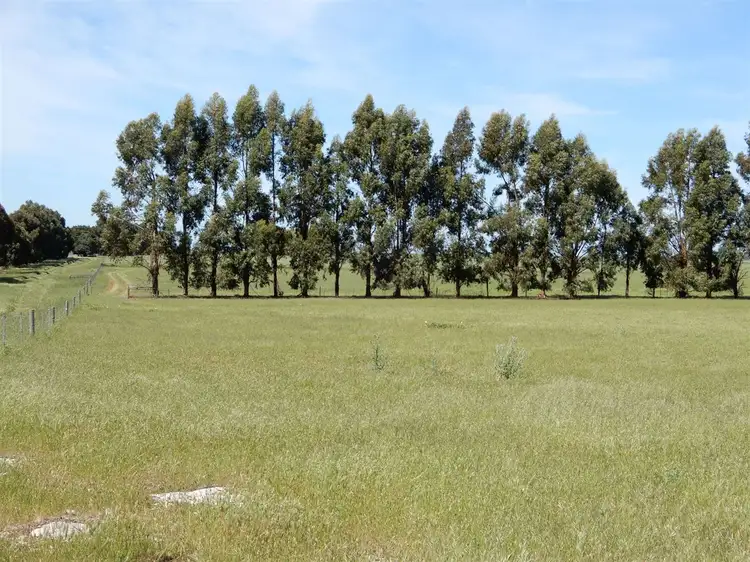 Seventh view of Homely rural property listing, 642 Gum Point Road South, Naracoorte SA 5271