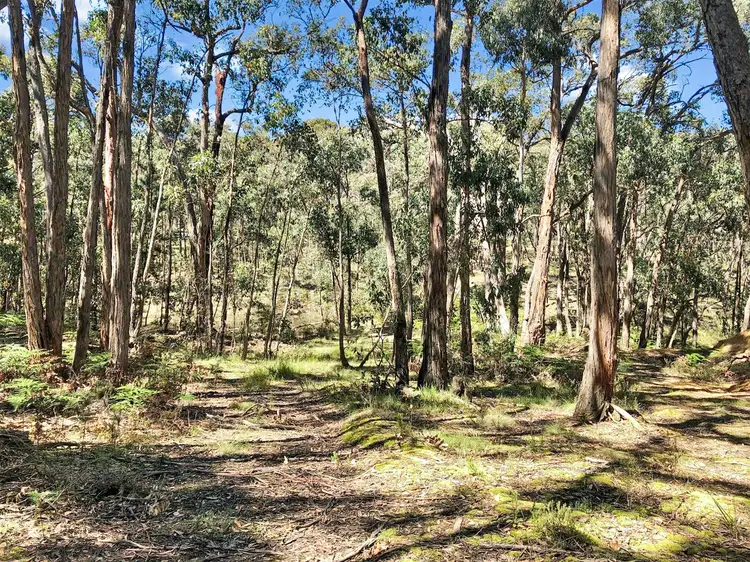 Main view of Homely land listing, 753 Pittong-Snake Valley Road, Snake Valley VIC 3351
