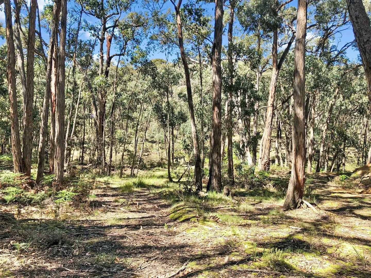 Main view of Homely land listing, 753 Pittong-Snake Valley Road, Snake Valley VIC 3351