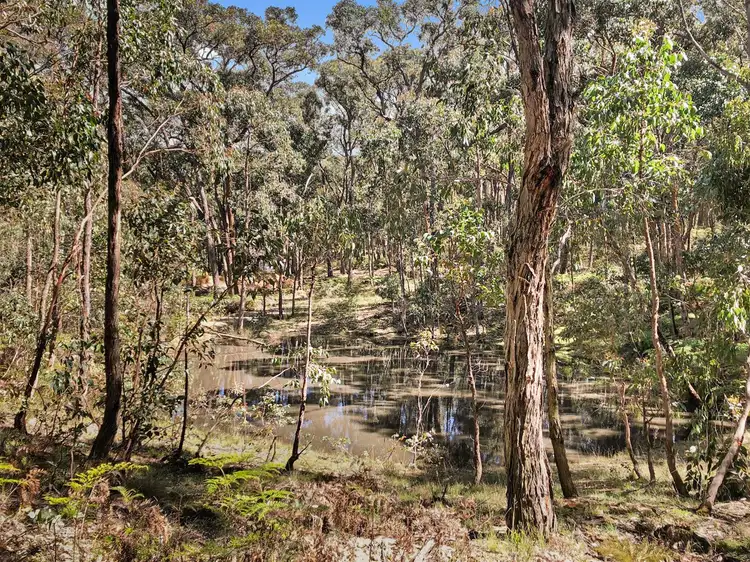 Second view of Homely land listing, 753 Pittong-Snake Valley Road, Snake Valley VIC 3351