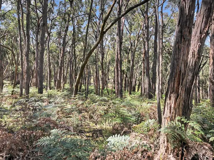 Fourth view of Homely land listing, 753 Pittong-Snake Valley Road, Snake Valley VIC 3351