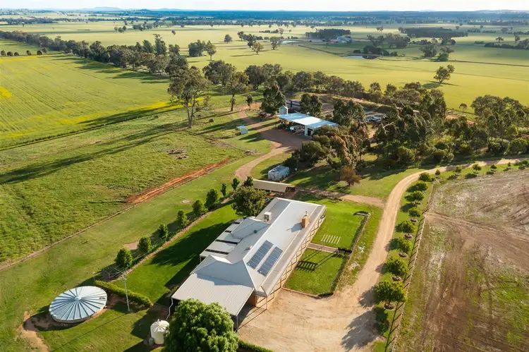 Main view of Homely rural property listing, 27 Kleemans Road, Henty NSW 2658