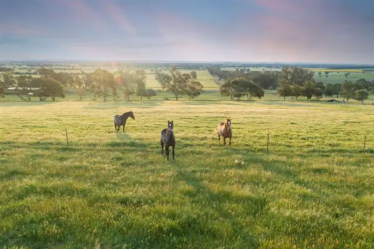 Seventh view of Homely rural property listing, 27 Kleemans Road, Henty NSW 2658