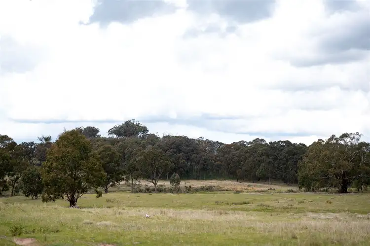 Main view of Homely rural property listing, 1331 & 1331A Mount Mckenzie Road, Tenterfield NSW 2372