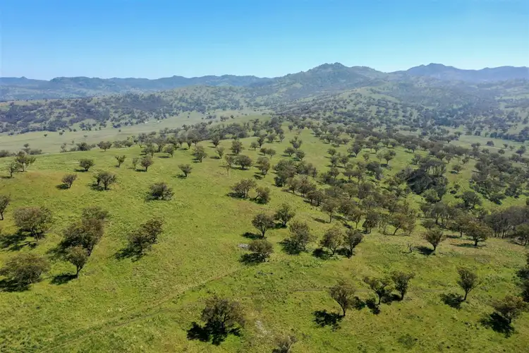 Main view of Homely rural property listing, Hillgrove Tara Hall 794 Dales Creek Rd, Kars Springs, Scone NSW 2337