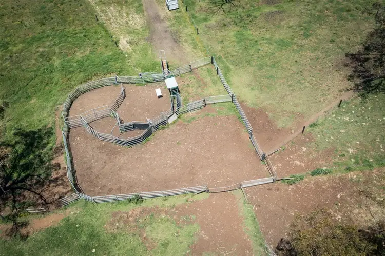 Third view of Homely rural property listing, Hillgrove Tara Hall 794 Dales Creek Rd, Kars Springs, Scone NSW 2337