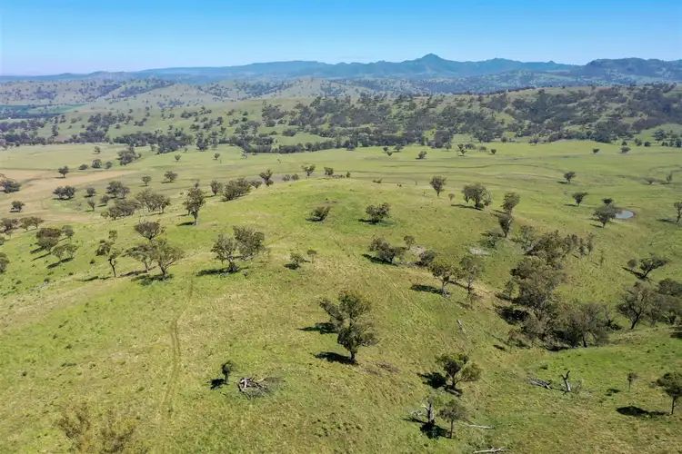Fourth view of Homely rural property listing, Hillgrove Tara Hall 794 Dales Creek Rd, Kars Springs, Scone NSW 2337
