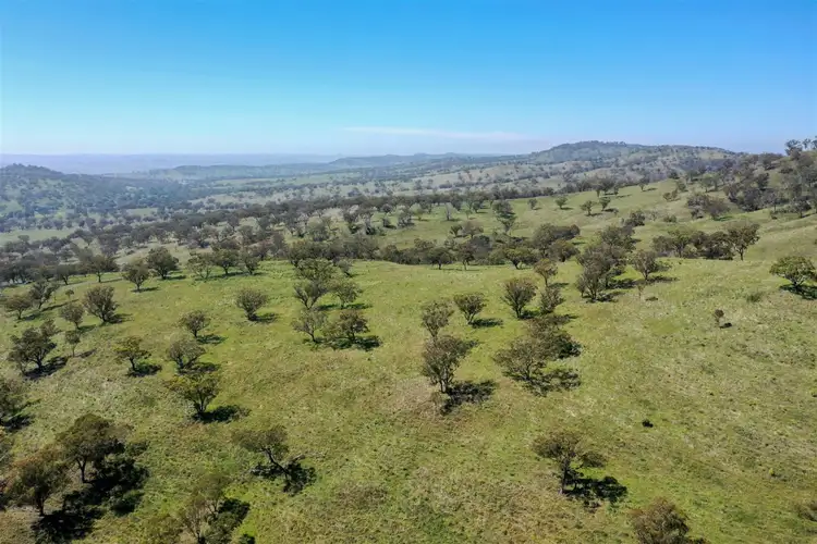 Fifth view of Homely rural property listing, Hillgrove Tara Hall 794 Dales Creek Rd, Kars Springs, Scone NSW 2337