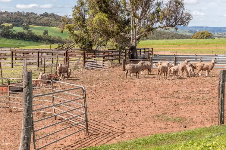 Fifth view of Homely rural property listing, Address available on request