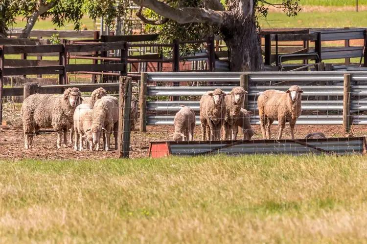 Seventh view of Homely rural property listing, Address available on request