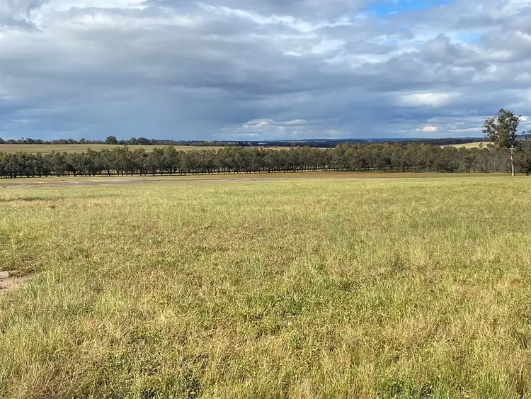 Main view of Homely rural property listing, 540 Rees Road, Bokal WA 6392