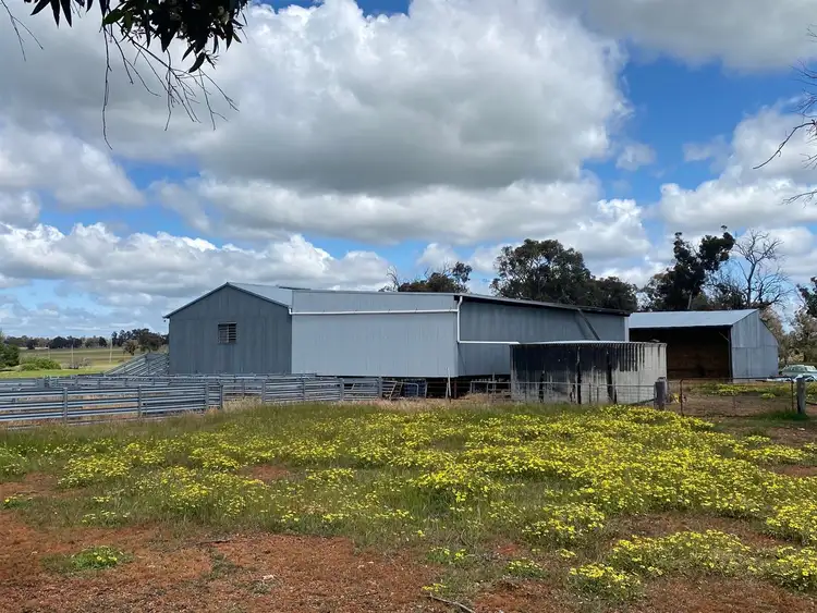 Second view of Homely rural property listing, 540 Rees Road, Bokal WA 6392
