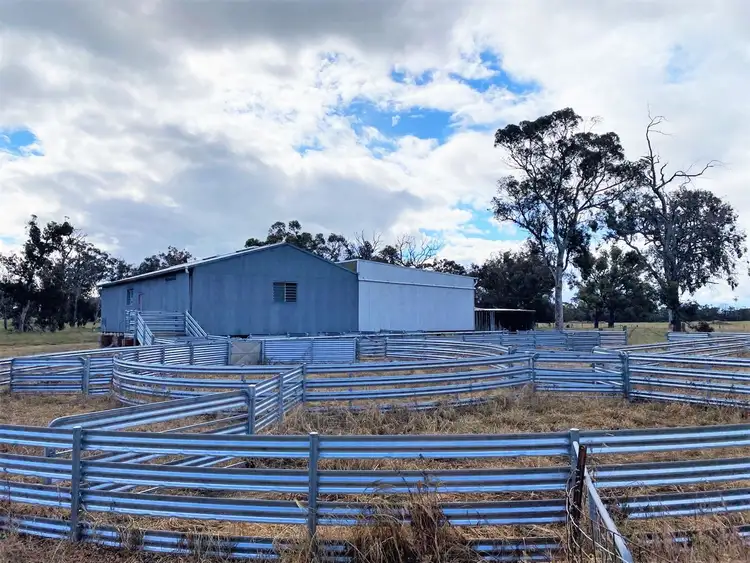 Sixth view of Homely rural property listing, 540 Rees Road, Bokal WA 6392