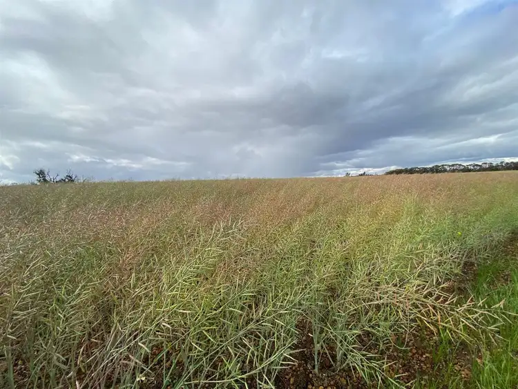 Seventh view of Homely rural property listing, 540 Rees Road, Bokal WA 6392