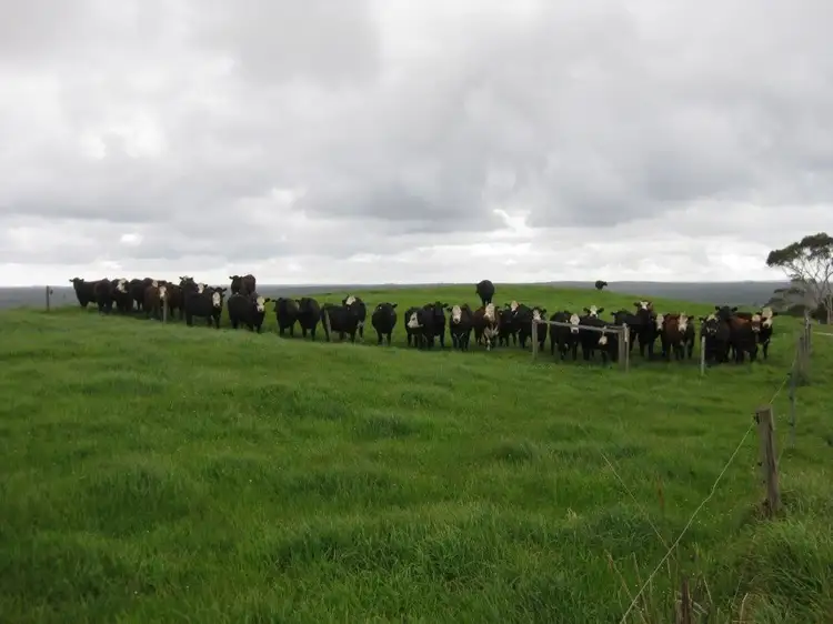 Main view of Homely rural property listing, . Station Road, Marrawah TAS 7330