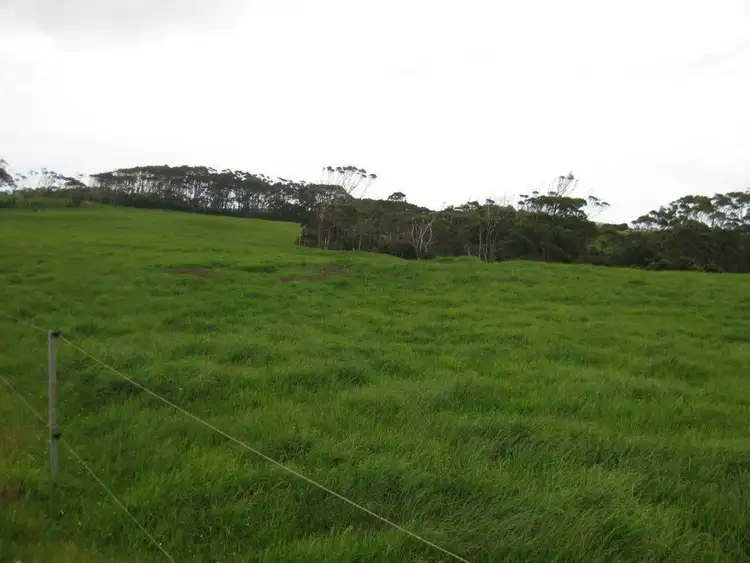 Second view of Homely rural property listing, . Station Road, Marrawah TAS 7330