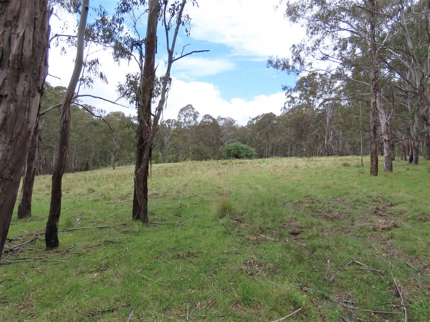 Main view of Homely rural property listing, 'Lands End/1600 Lands End Road, Red Range NSW 2370