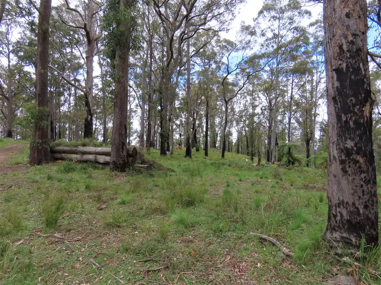 Second view of Homely rural property listing, 'Lands End/1600 Lands End Road, Red Range NSW 2370
