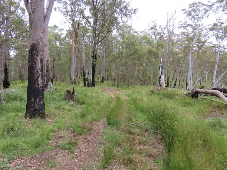 Third view of Homely rural property listing, 'Lands End/1600 Lands End Road, Red Range NSW 2370