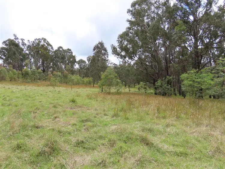 Fourth view of Homely rural property listing, 'Lands End/1600 Lands End Road, Red Range NSW 2370