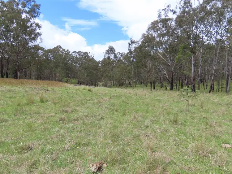 Fifth view of Homely rural property listing, 'Lands End/1600 Lands End Road, Red Range NSW 2370