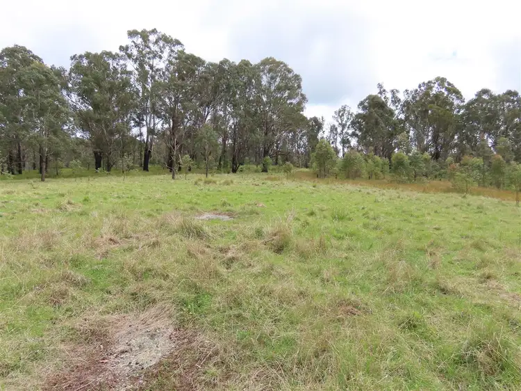 Sixth view of Homely rural property listing, 'Lands End/1600 Lands End Road, Red Range NSW 2370