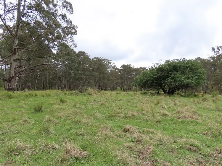Seventh view of Homely rural property listing, 'Lands End/1600 Lands End Road, Red Range NSW 2370