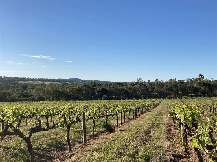 Seventh view of Homely rural property listing, 7022 Horrocks Highway, Leasingham SA 5452