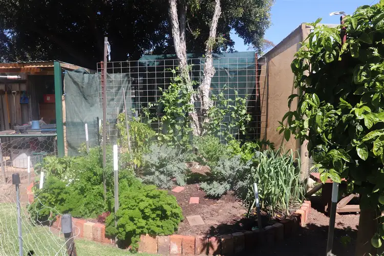 Third view of Homely house listing, 49 George Street, Bolgart WA 6568