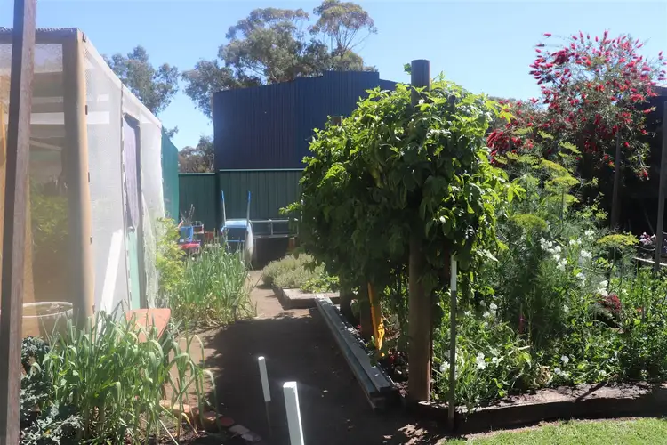 Fourth view of Homely house listing, 49 George Street, Bolgart WA 6568