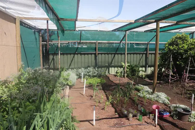 Sixth view of Homely house listing, 49 George Street, Bolgart WA 6568