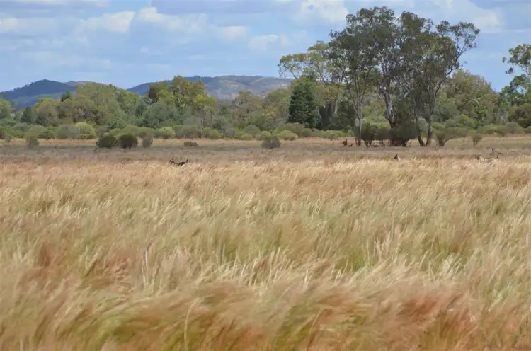 * Shuttleton, Nymagee NSW 2831