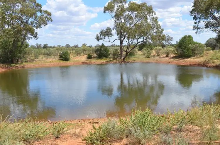 Third view of Homely rural property listing, * Shuttleton, Nymagee NSW 2831