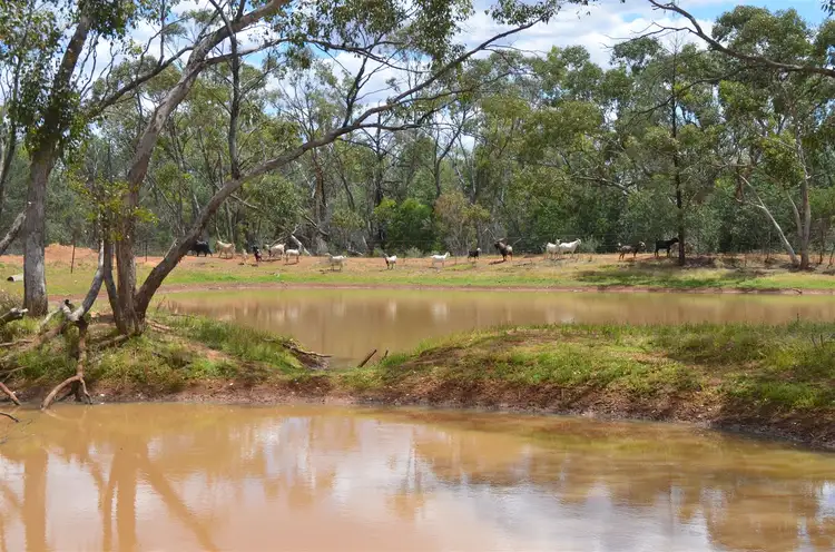Sixth view of Homely rural property listing, * Shuttleton, Nymagee NSW 2831