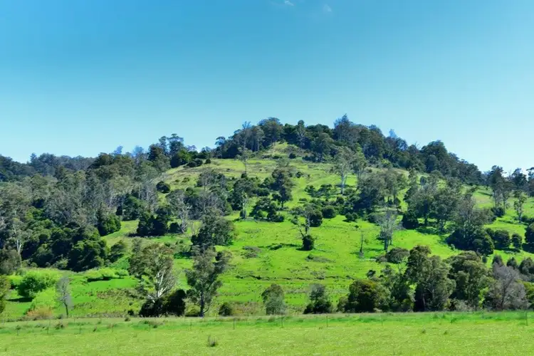 Seventh view of Homely rural property listing, 8415 Lyell Highway, Ouse TAS 7140