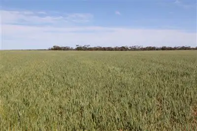 Second view of Homely rural property listing, "Ceduna" & "Koonibba", Ceduna SA 5690