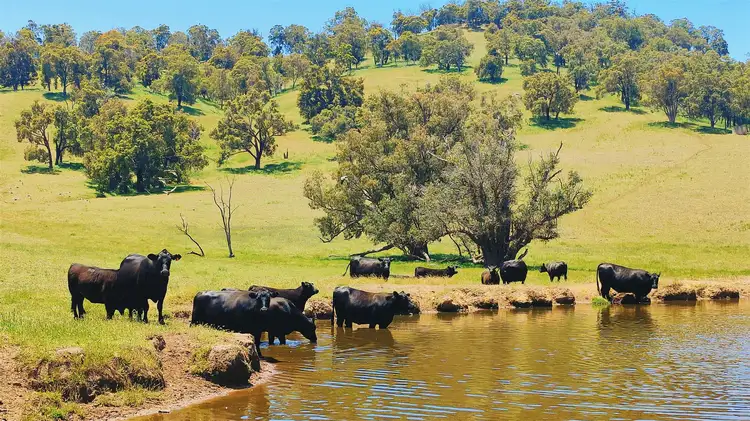 Main view of Homely rural property listing, 2337 Chittering Road, Lower Chittering WA 6084