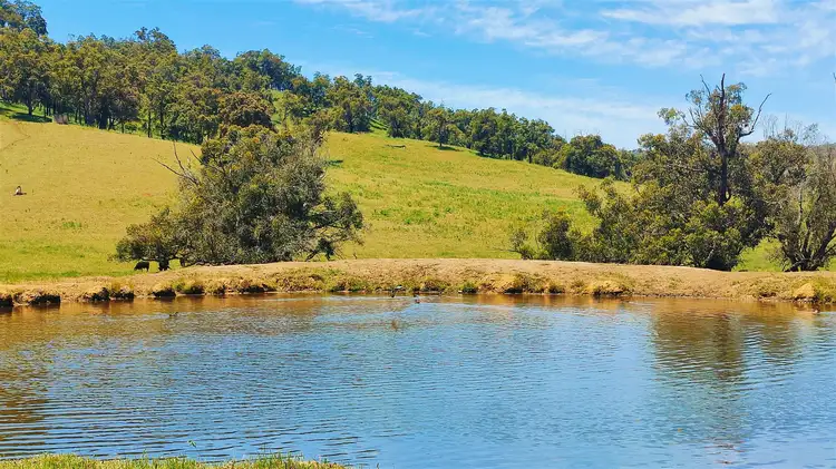 Fourth view of Homely rural property listing, 2337 Chittering Road, Lower Chittering WA 6084