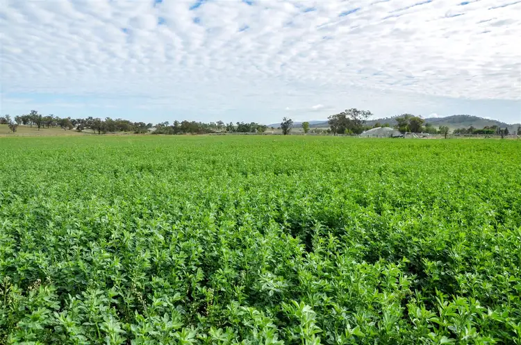 Second view of Homely rural property listing, 'Holkham' New England Hwy, Aberdeen NSW 2336