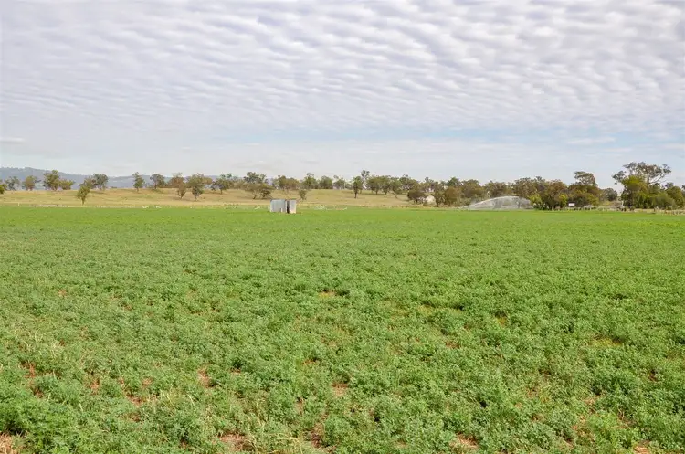 Fourth view of Homely rural property listing, 'Holkham' New England Hwy, Aberdeen NSW 2336