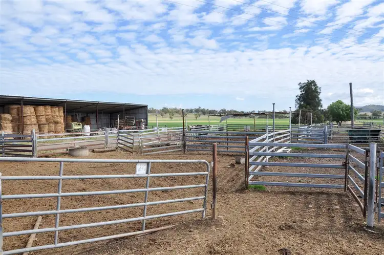 Seventh view of Homely rural property listing, 'Holkham' New England Hwy, Aberdeen NSW 2336