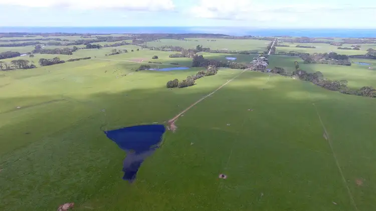 Main view of Homely rural property listing, 701 Millwood Road, Pegarah TAS 7256