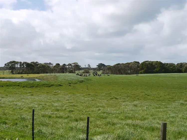 Sixth view of Homely rural property listing, 701 Millwood Road, Pegarah TAS 7256