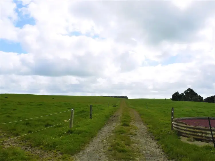 Seventh view of Homely rural property listing, 701 Millwood Road, Pegarah TAS 7256