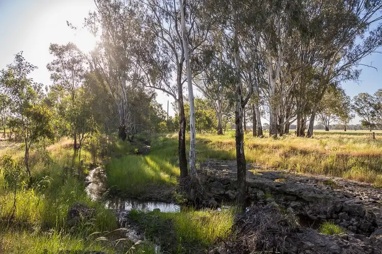 Third view of Homely rural property listing, Lot 3 Pagets Road, Baddaginnie VIC 3670