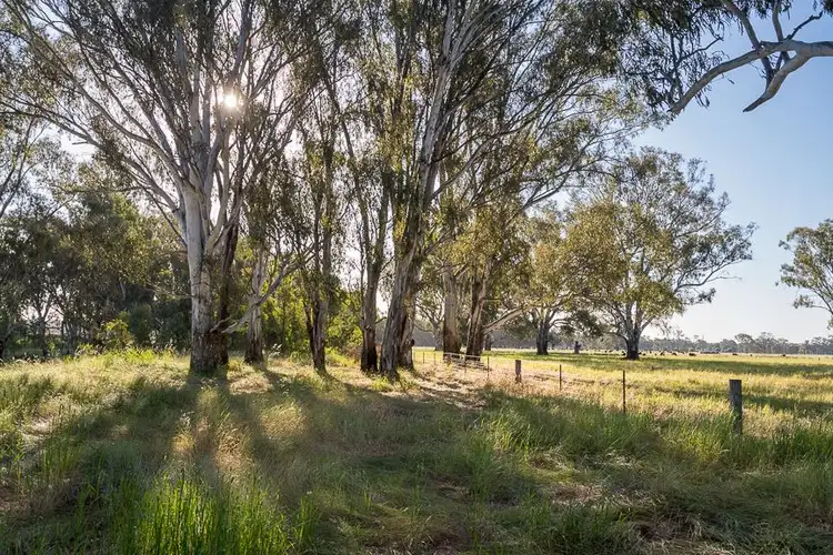 Fourth view of Homely rural property listing, Lot 3 Pagets Road, Baddaginnie VIC 3670