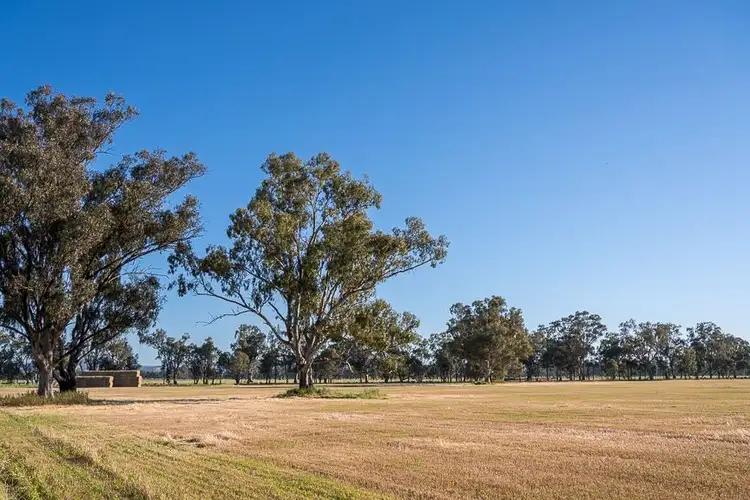 Sixth view of Homely rural property listing, Lot 3 Pagets Road, Baddaginnie VIC 3670