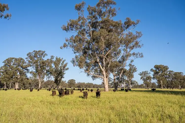 Seventh view of Homely rural property listing, Lot 3 Pagets Road, Baddaginnie VIC 3670