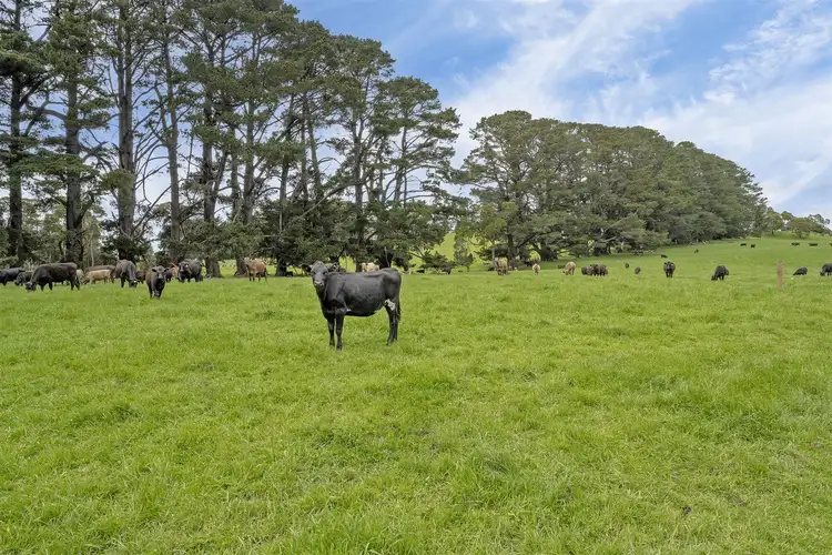 Second view of Homely rural property listing, 2109 Murchison Highway, Henrietta TAS 7325